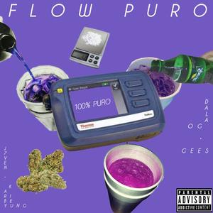 Flow Puro (feat. Gees, Big Dala Og, J.7ven & KaribeYung)