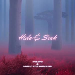 Hide & Seek