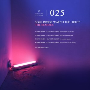 Catch The Light (Curtis Gabriel Remix)