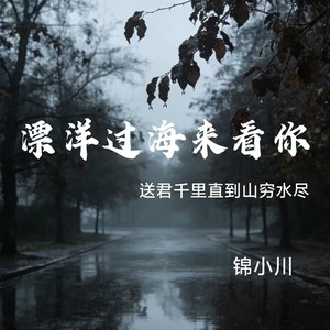 漂洋过海来看你（送君千里直到山穷水尽）