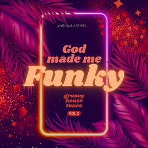 God Made Me Funky (Groovy House Tunes) , Vol. 2 [Explicit]