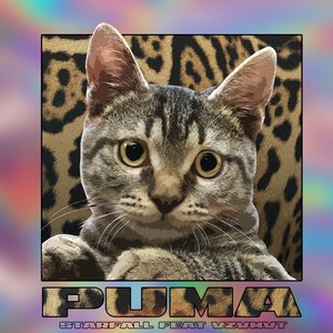 Puma (Explicit)