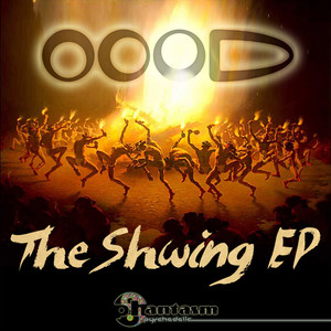 That's Why We Shwing (Original Mix)