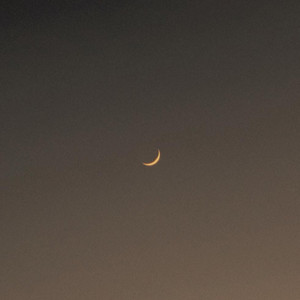 Notice(feat. Bow Anderson & Maia Wright)