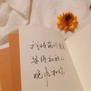 七秒钟的记忆
