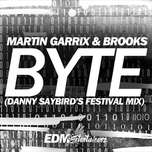 Byte (Danny Saybirds Festival Mix)