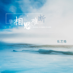 相思难断 (DJ伟然版)