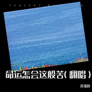 命运怎会这般苦