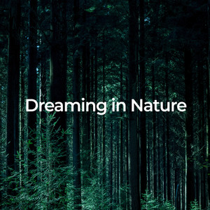 Dreaming in Nature: Relax and Unwind