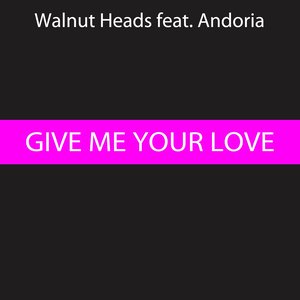 Give Me Your Love (Extended Mix)