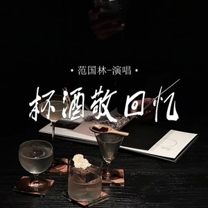 范国林 - 杯酒敬回忆