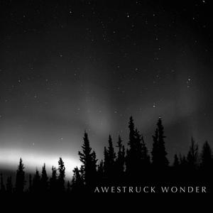 Awestruck Wonder