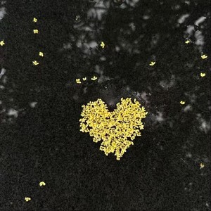 Headlong Into Love Vi MotNgu¤i