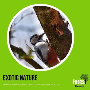 Exotic Nature - Tranquil Rainforest Birds, Crickets, Toads and Flocks, Vol. 6