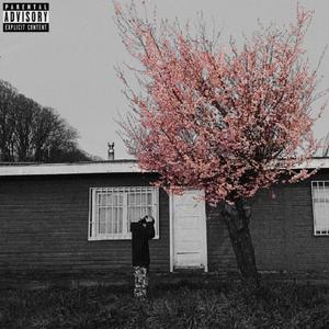 perreo (feat. Milanaz) (Explicit)