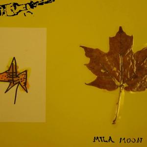 Still Raining (Restaurant Song)