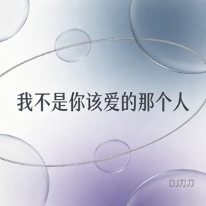 我不是你该爱的那个人 (律动版)封面