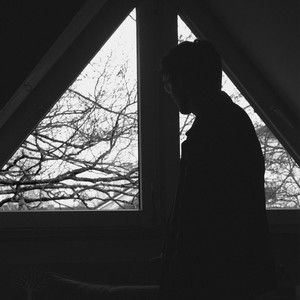 Der Baum Vor Meinem Zimmer