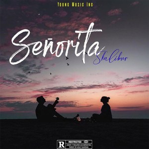 Señorita (Explicit)