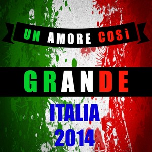 Un amore così grande (Italia 2014)