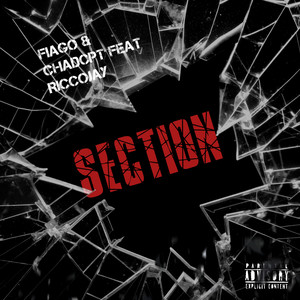 Section (Explicit)