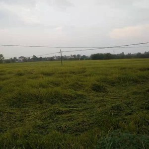 家乡不知在何方