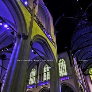 Voices of Meltica IIII