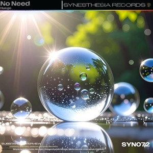 No Need (Extended Mix|Explicit)