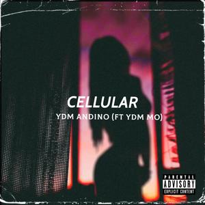 Cellular(feat. YDM Mo) (Explicit)