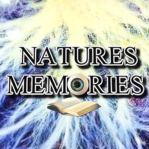 Culture(feat. Shogun) (Explicit)