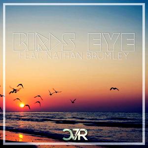 Birds Eye (feat. Nathan Brumley)