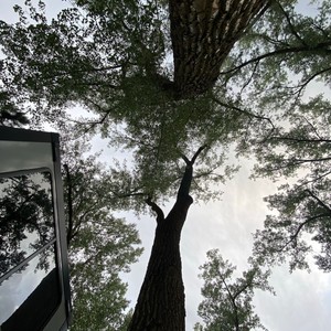 Timber Lake SD, part 2 (Explicit)