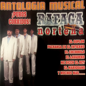 Antologia Musical Puros Corridos