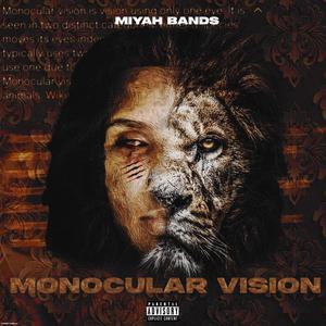 Monocular Vision (Explicit)