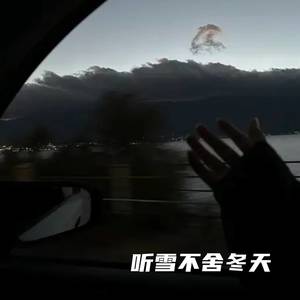 听雪不舍冬天