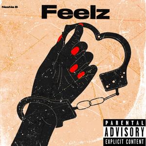 Feelz (Explicit)