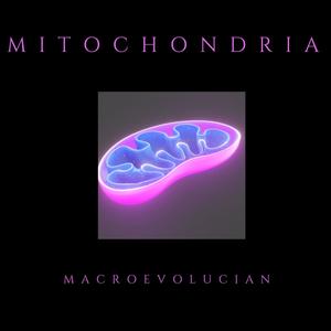 Mitochondria