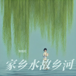 家乡水故乡河 (纯伴奏)