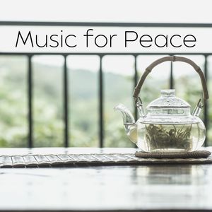 Music for Peace: Sweet Healing Through the Sound