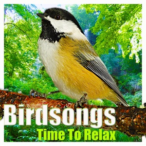 Birdsongs (Time to Relax)