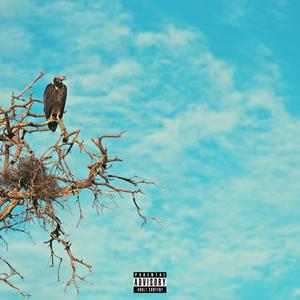 My One Trap Song (Explicit)