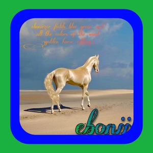 The Air Is Crisp Air In Missisippi, But the Air in My Home Barn Back In South Dakota is Much Less Moist, and Quite Significantly Drier. (Golden Horse Version)