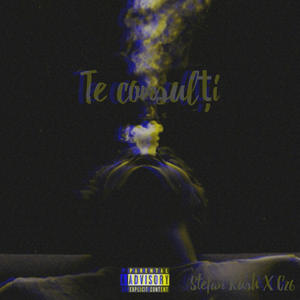 Te consulti (feat. C26 & RzVy) [Explicit]