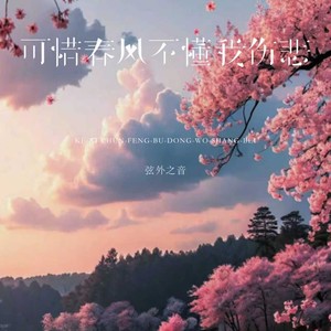 可惜春风不懂我伤悲-弦外之音