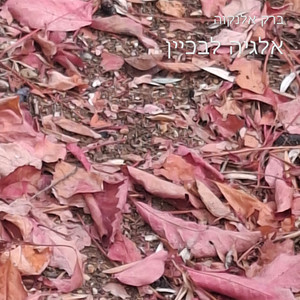 נפלאה אהבתך