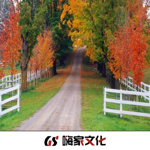 两个世界 (DJ弹鼓版)