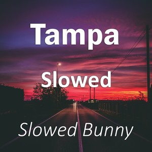Tampa Slowed (Remix|Explicit)