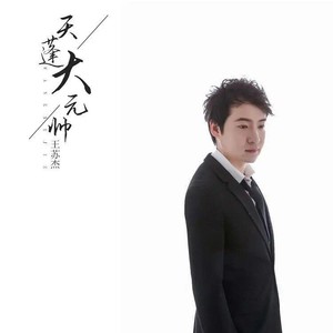 天蓬元帅 (DJ版)