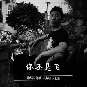 你还是飞