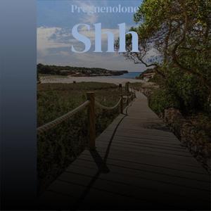 Pregnenolone Shh